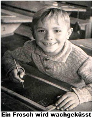 cover image of Ein Frosch wird wachgeküsst